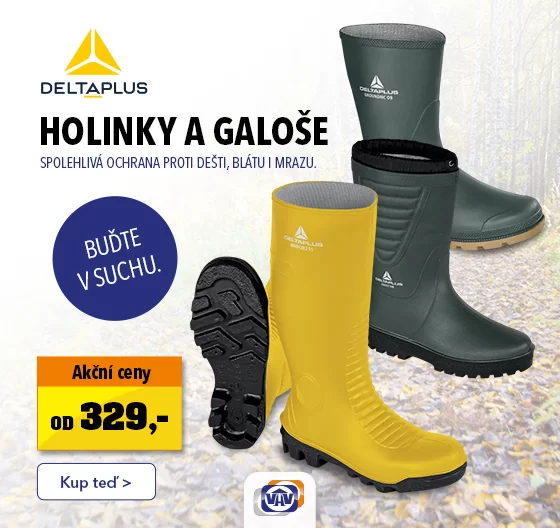 Holinky a galoše