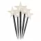 EMOS DCZW01 5LED GARDEN STAR 3AA WW-dekorace LED