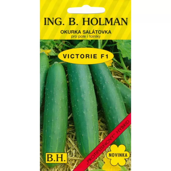 Okurka salát. Holman - Viktorie F1 1,5g