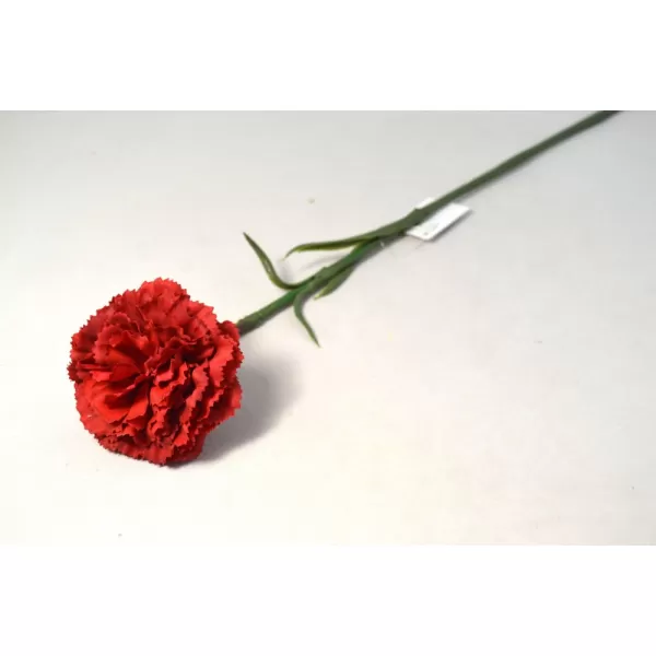 Dekorace - Karafiát single 47cm