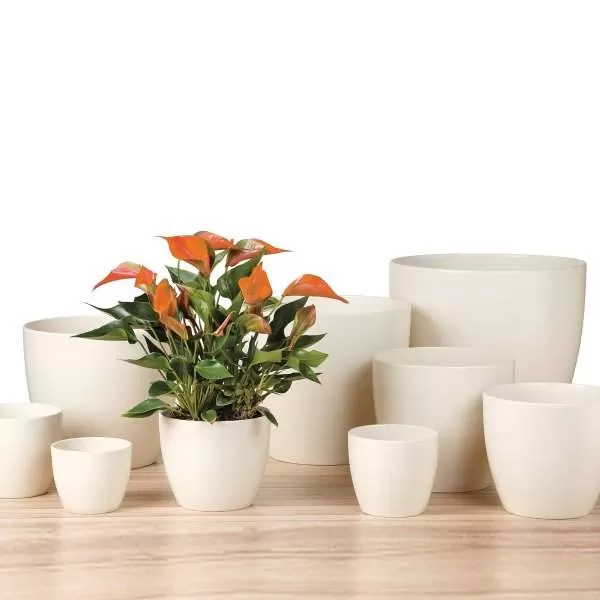 Obal keramický 920 Creme 22