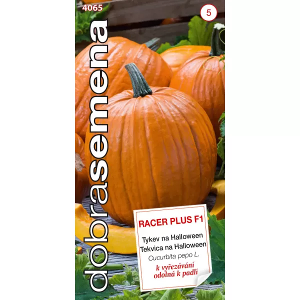 Tykev velkoplodá - Racer Plus F1