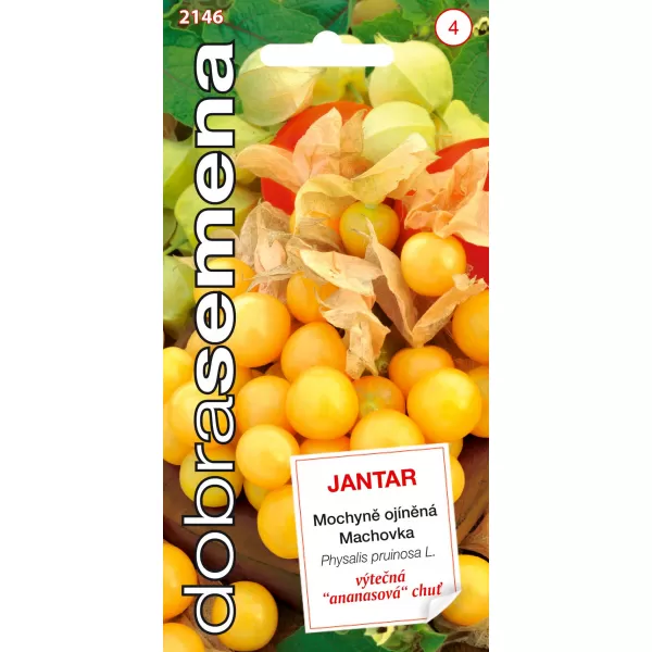 Dobrá semena Mochyně ojíněná - Jantar ananasová 0,2g