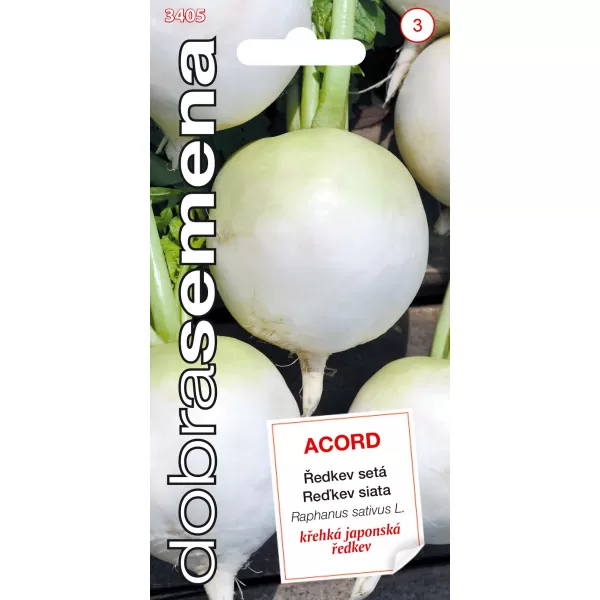 Dobrá semena Ředkev setá - Acord kulatá, typ Daikon 3g