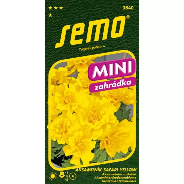 Aksamitník rozkladitý - Safari Yellow 30s - série MINI