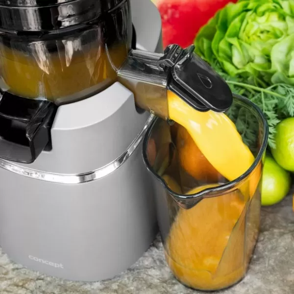 CONCEPT LO7067 Odšťavňovač šnekový JUICY 250W tmavě šedá
