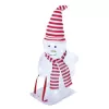 EMOS 40LED XMAS SNOWMAN IP44 CW DCFC19