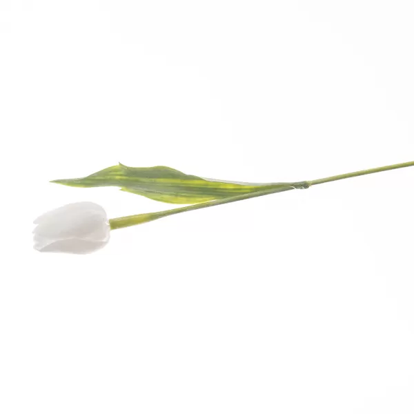 Květina UH tulipán bílý 40 cm