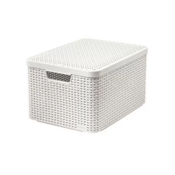 Box úložný RATTAN Style2 L - krémový s víkem