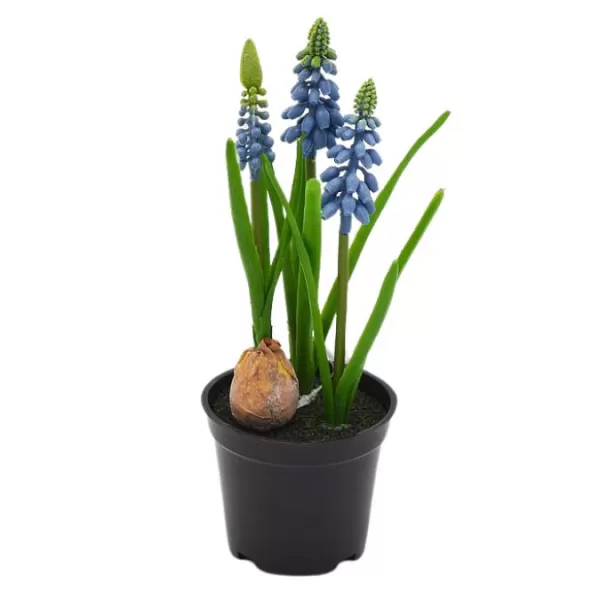 Dekorace - Modřenec v květníku 20cm