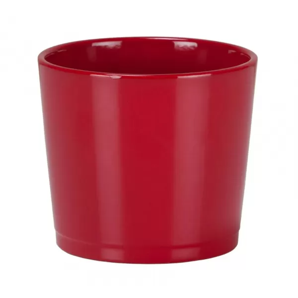 Obal 883 Red 15 /VÁNOCE 2024/