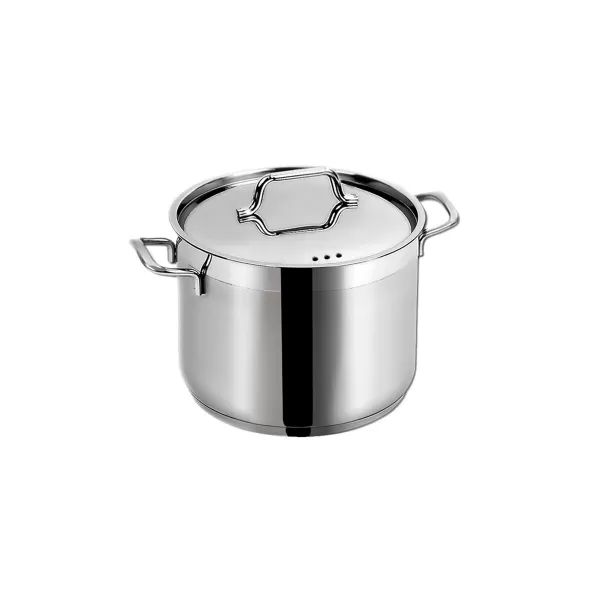 Hrnec nerez ANETT 4,6 l poklice
