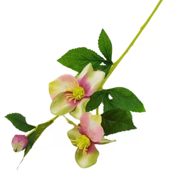 Dekorace - Čemeřice 3 květy 53cm zelenorůžová