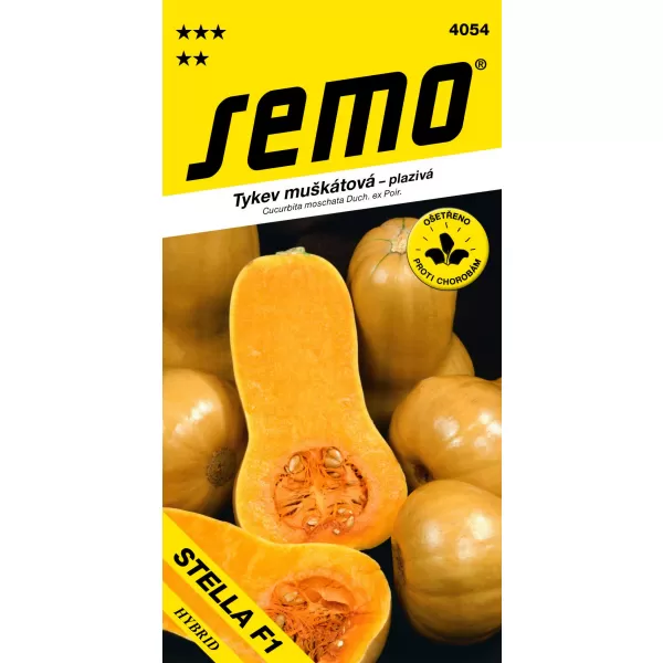 Tykev muškátová - Stella F1 (typ Butternut) konz.vař 2g