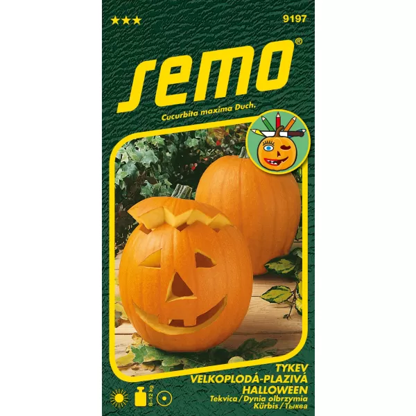 Tykev okrasná - Halloween 2g