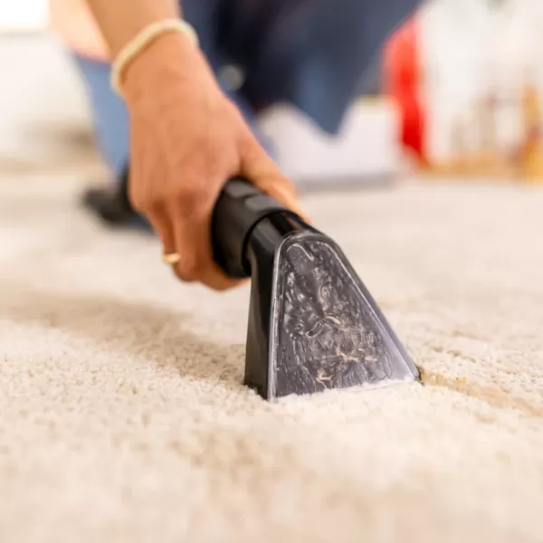 Karcher Tepovač SE 2 Spot Care EU