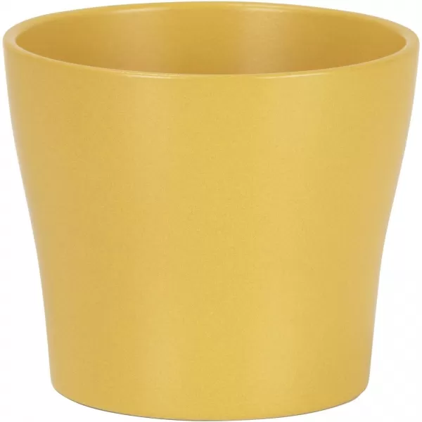 Obal 808 Curcuma 13