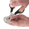 Nůžky nerez/plast na křepelčí vajíčka mix