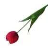 Dekorace - Tulipán 55cm