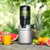 CONCEPT LO7067 Odšťavňovač šnekový JUICY 250W tmavě šedá