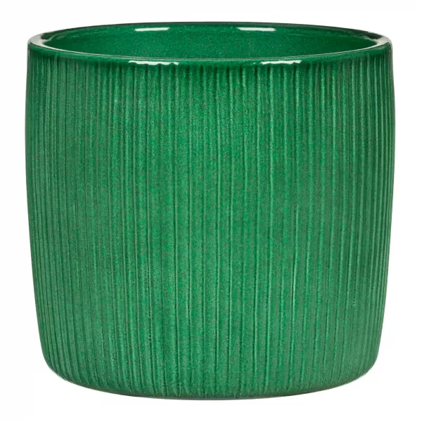 Obal 909 Cactus Green 18 Vánoce 2024