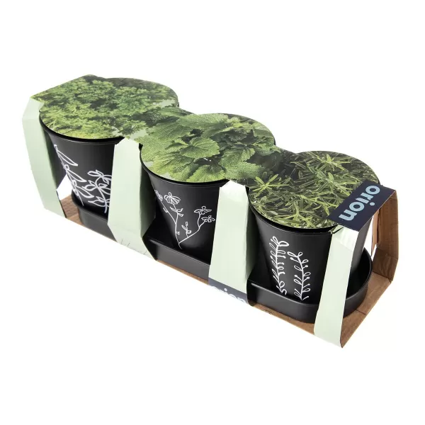 Květináč kov bylinky BLACK pr. 11 cm 3 ks+podtácek
