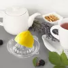 Lis na citrusy sklo pr. 12,5 cm