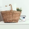 Pohlcovač vlhkosti 450 g