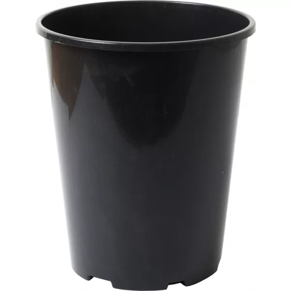 Kontejner růže 4L