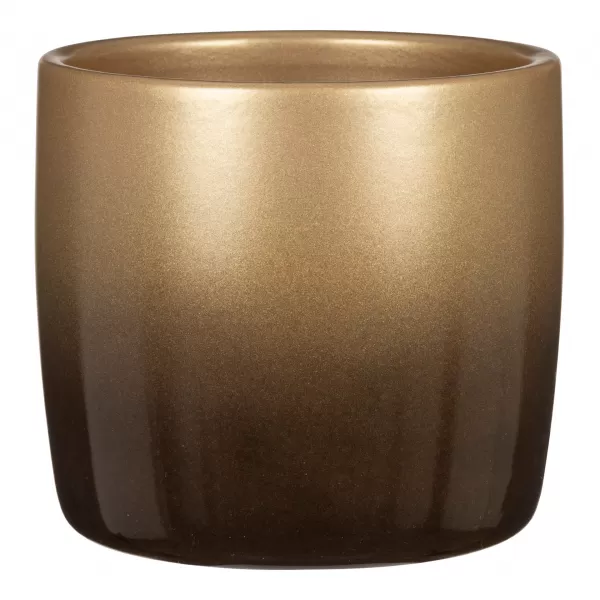 Obal 900 Nobel Gold 15 Vánoce 2024