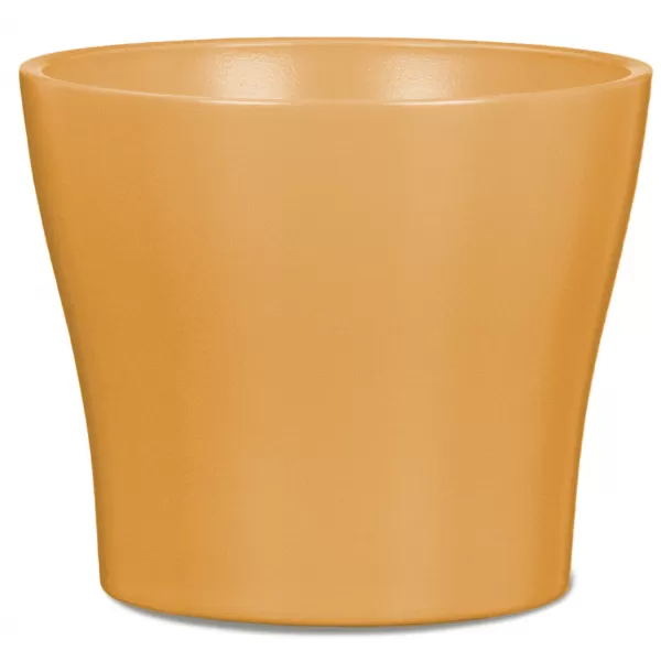 Obal 808 Curcuma 11