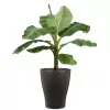 Obal orchidejový 608 Anthrazit mat 13cm/v.17cm