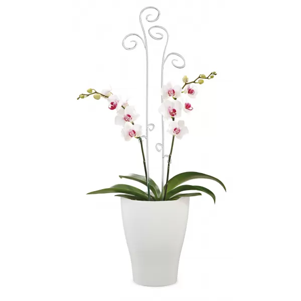 Obal orchidejový 608 Panna bílý mat 13cm/v.17cm