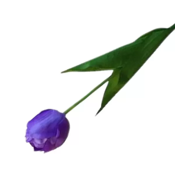 Dekorace - Tulipán 55cm
