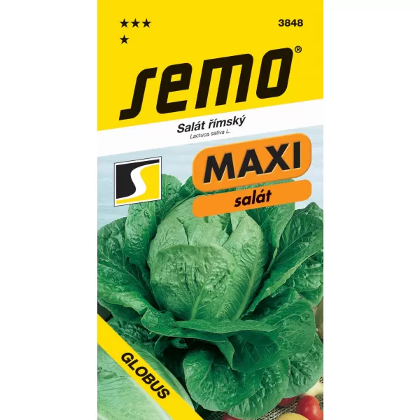 Salát římský - Globus PROFI 0,7g - série MAXI