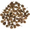 Dekorace - Casurina 250g