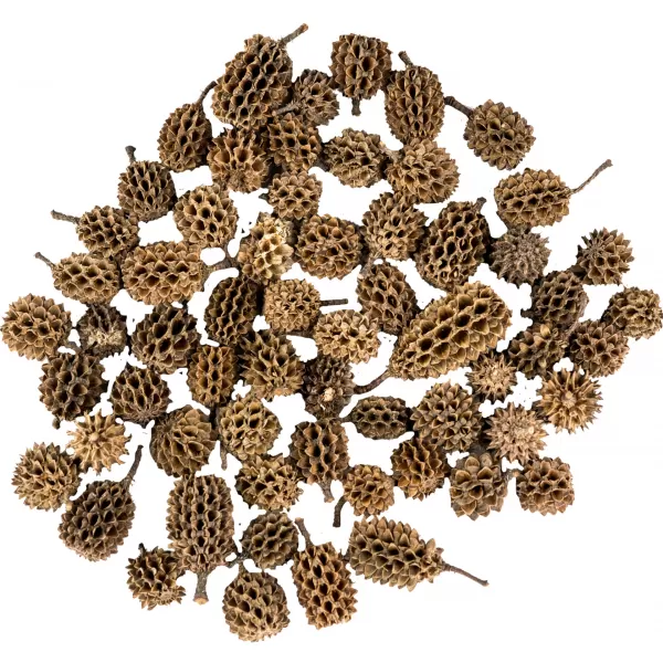 Dekorace - Casurina 250g