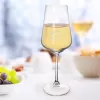 Sklenice Můj pohár trpělivosti 0,45 l víno 1 ks CZ