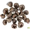 Dekorace - Eucalyptus Pod 250g