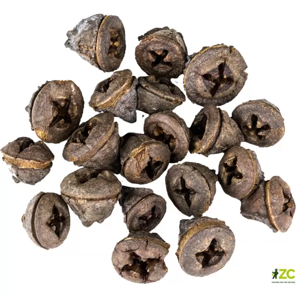 Dekorace - Eucalyptus Pod 250g