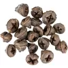 Dekorace - Eucalyptus Pod 250g