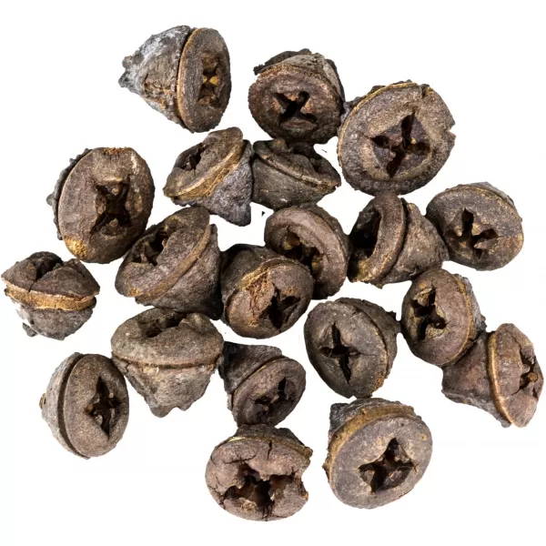 Dekorace - Eucalyptus Pod 250g
