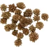 Dekorace - Star Flower 250g