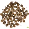 Dekorace - Casurina 250g