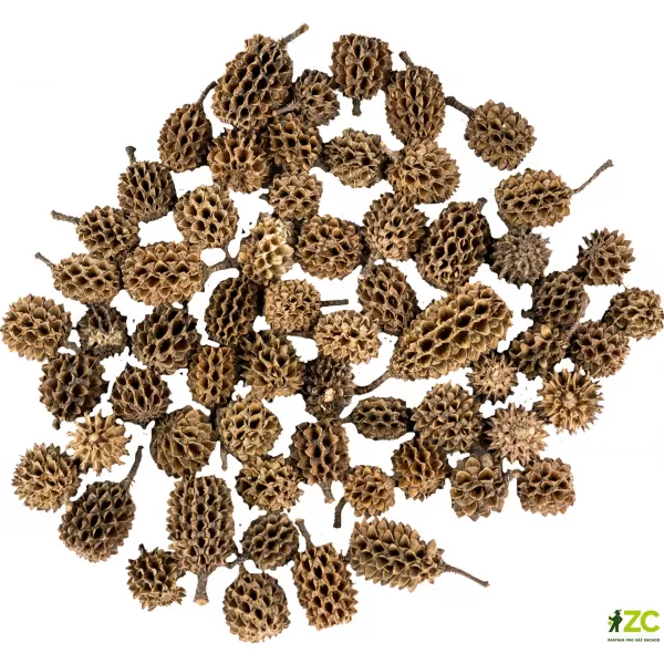 Dekorace - Casurina 250g