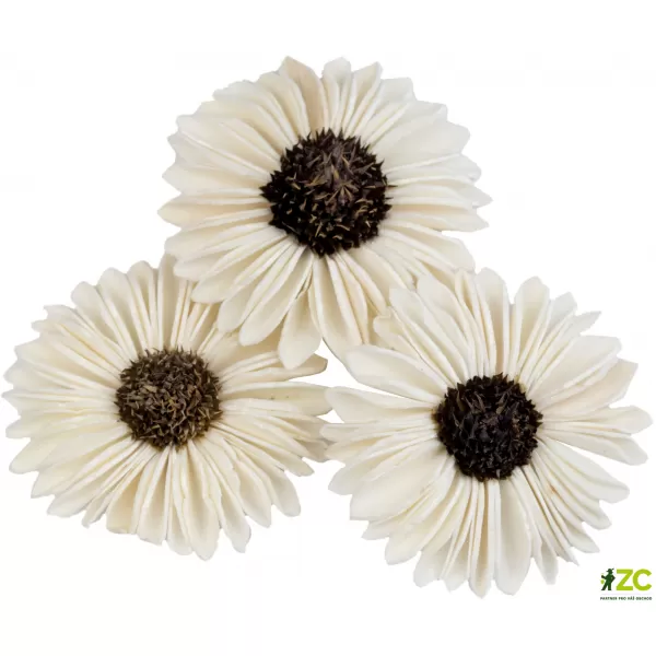 Dekorace - Sola Splite Sunflower 6 cm - 30 ks