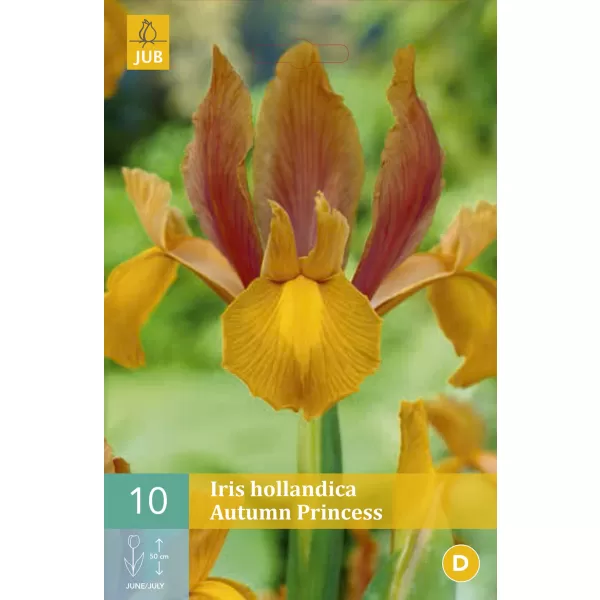 Karta - Kosatec - Iris Hollandica Autumn Princes (10 cibulí) "B"