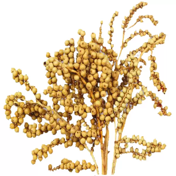 Dekorace - Canella cobs přírodní 250g