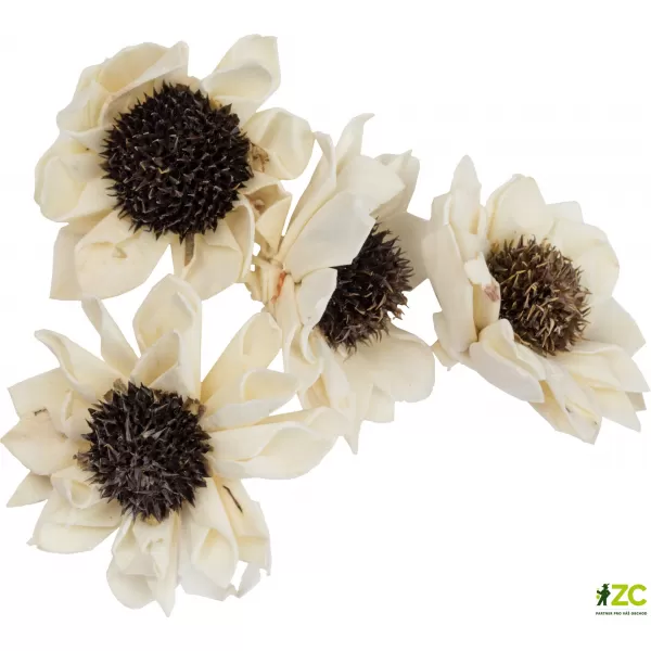Dekorace - Sola Folded Star Daisy 6 cm - 50 ks