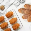 Forma silikon pracny 18 hnědá